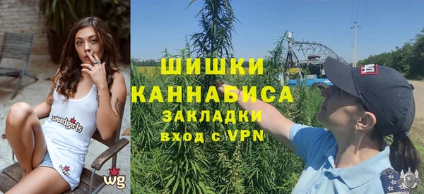 гашик Каменка