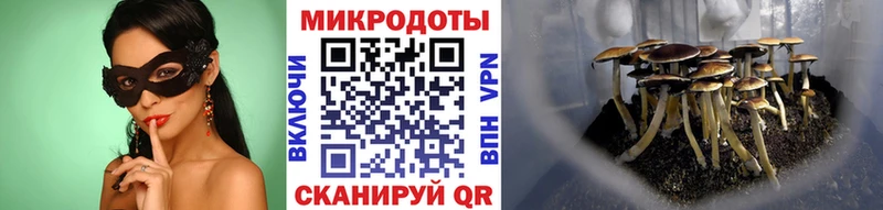 Галлюциногенные грибы GOLDEN TEACHER  Гремячинск 